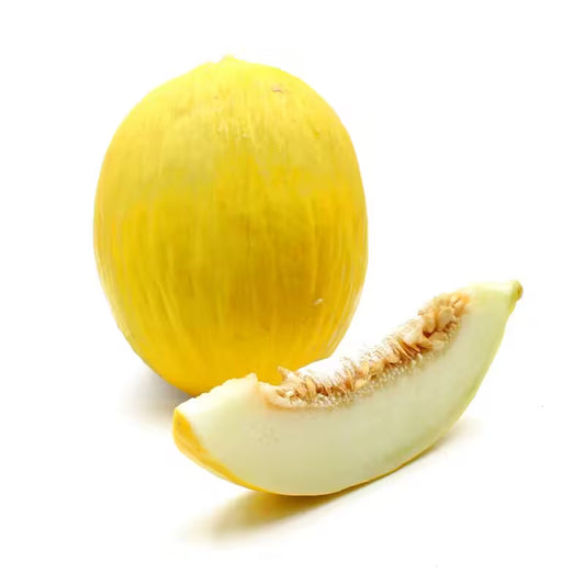 Melón žltý medový Honey Dew kal.9-12, I.Tr