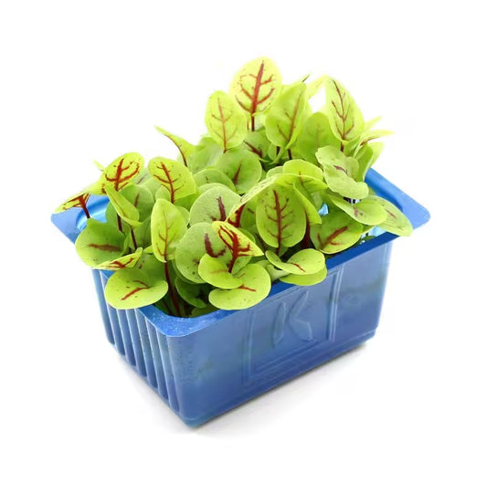 Vňať - Vene cress vanička