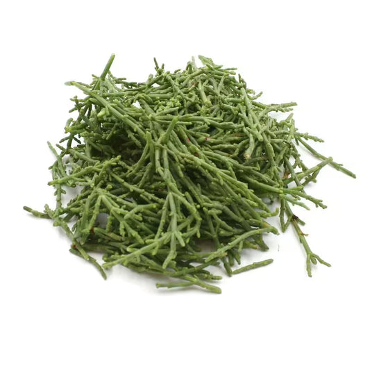 Salicornia (Seacorel), I.Tr