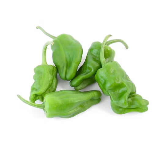 Paprika Padrone